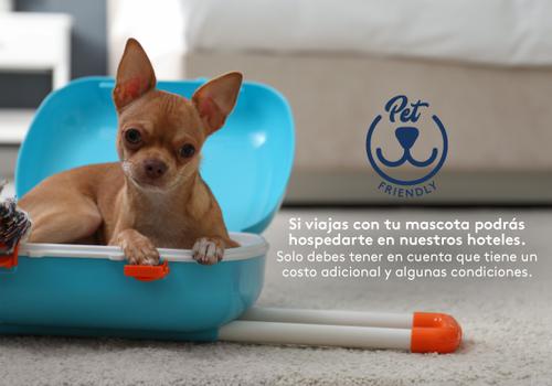 Admite mascotas Hotel ESTELAR Playa Manzanillo Cartagena de Indias
